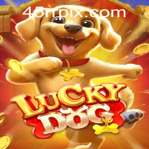 Exploring the Excitement of LuckyDog and the Unique 45RR.com Experience
